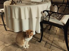-Seraser Fine Dining Restaurant