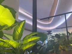 -同仁四季椰子鸡(宝安壹方城店)