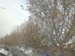 -京粮广场
