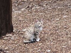 -青州市云门山风景区