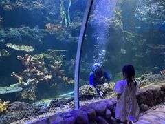 -华夏文旅海洋公园