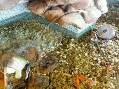 -御膳粥·牛乳粥底火锅·地道顺德菜(容桂店)