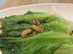 -小杨生煎(白玉兰广场店)