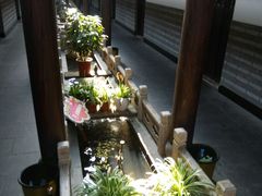 -唔呶喔哩酒家(生产街店)