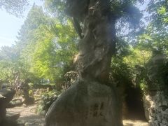 -绮园景区