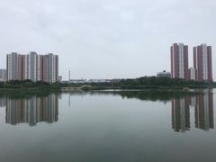 -人民公园(黄骅市)