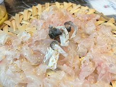-官塘鱻鱻鱼生