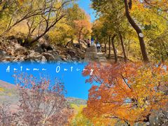 -北京十三陵国家森林公园蟒山景区