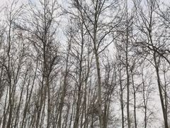 -仁和公园(顺义区)