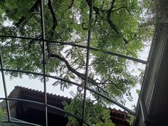 -zarah(鼓楼店)