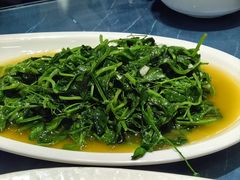 生拌时蔬-干老四雅鱼饭店(滨江西路店)