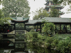 -桂湖森林公园