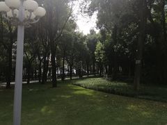 -重庆市江北嘴中央商务区中央公园