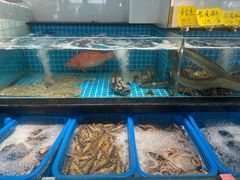 -大家发海鲜城夜排档(华山中路店)