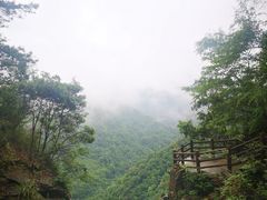 -溪口-滕头旅游景区