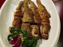 -海拉尔蒙古包(房山长阳总店)