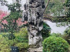 -汇龙潭