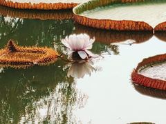 -国家植物园南园