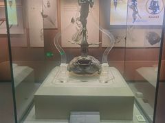 -荆州博物馆