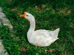 -山东大学(软件园校区)