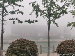 -琴岛之星摩天轮