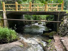 -五营红松林海景区