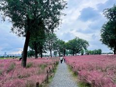 -汉长安城未央宫国家考古遗址公园