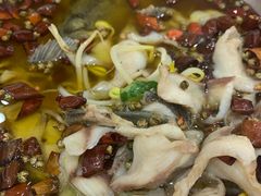 沸腾黑鱼-天天沸腾(东港路店)