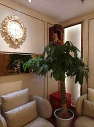 -茜尔维亚修身连锁(杨浦五角场店)