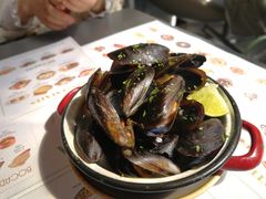 -Tapa Tapa