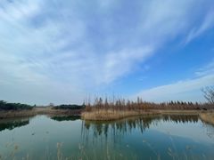 -泗洪洪泽湖湿地景区