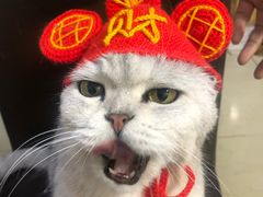 -簋街
