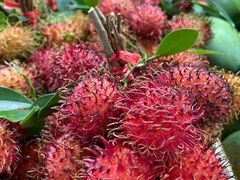 -港华水果街(港华广场店)