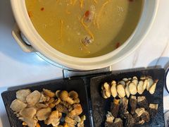 -蘑统田下·野生菌火锅