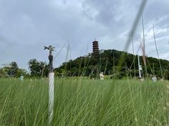 -红花山公园