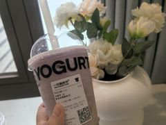 -一只酸奶牛(八一路店)