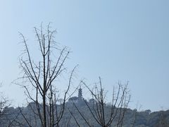 -苏州上方山国家森林公园