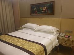 -维也纳国际酒店·上海虹桥火车站国家会展中心店