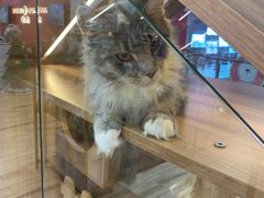 -卓美LAMDA戏剧演讲与培训中心(亚运村店)