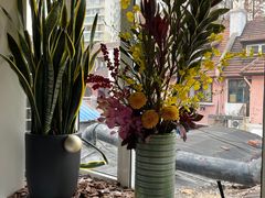 -蝶舍·MAISON PAPILLON