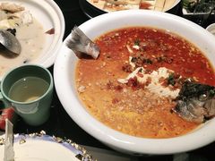 -三强鸽子(中原路店)