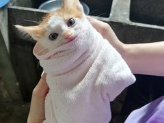 -酷狗靓猫宠物·洗护·美容·寄养(航北路店)