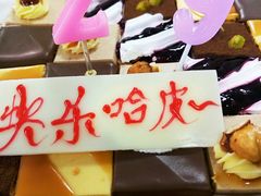 -维尔纳斯·生日蛋糕动物奶油冰淇淋蛋糕(人大店)