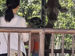 -秦皇岛野生动物园