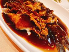 西湖醋鱼-楼外楼(玉泉店)