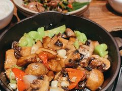 -云海肴·汽锅鸡·云南代表菜(美罗城店)