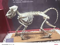 -国家自然博物馆