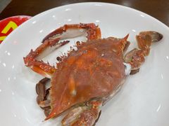 -红灯笼龙凤饭店(宁波老字号店)