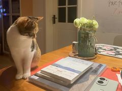 -中央广播电视总台(光华路办公区)