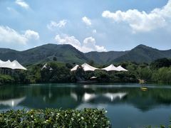 -帐篷客·溪龙茶谷度假酒店